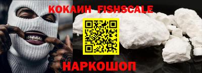 гашик Можга