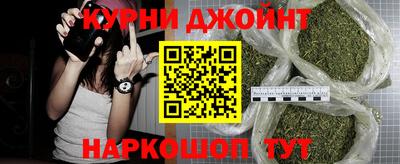 гашик Можга