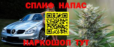индика Можайск