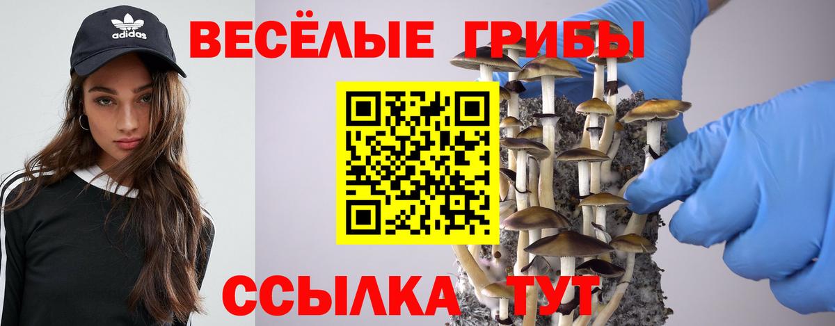 Галлюциногенные грибы Magic Shrooms Долгопрудный